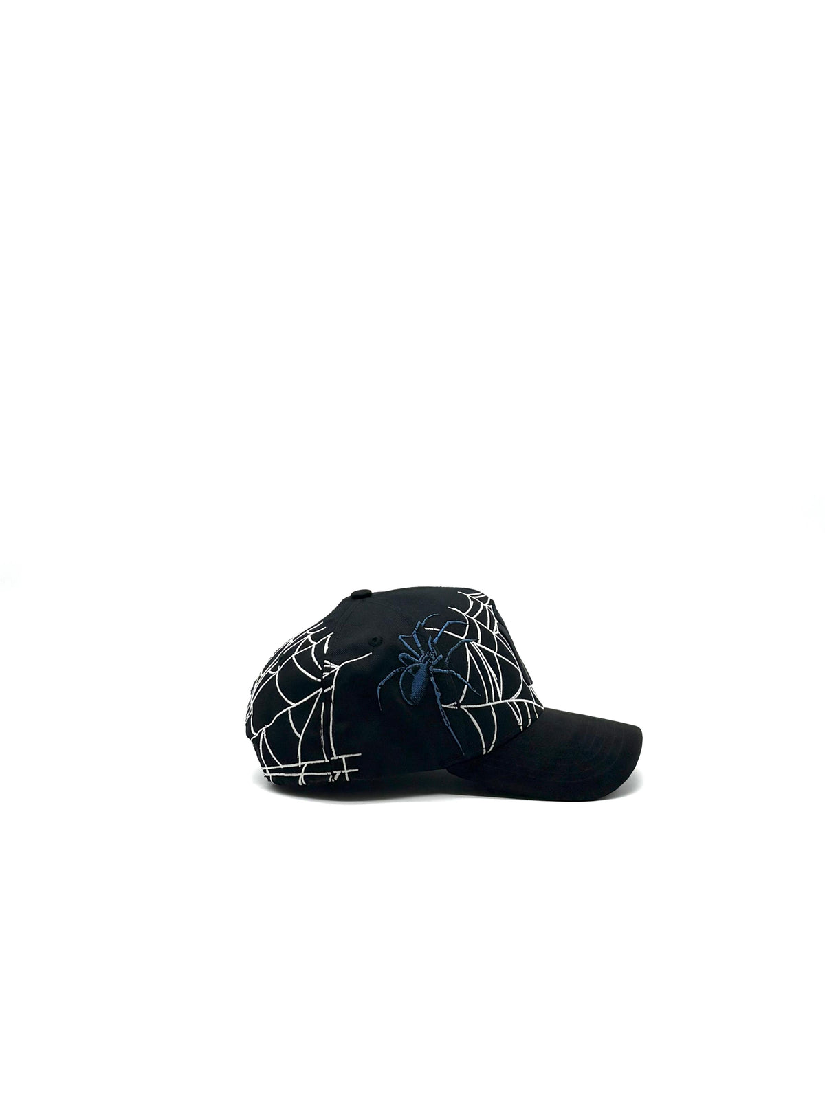 GALLO FINO  "NY SPIDER"