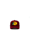 BASS PRO SHOPS "TINTA"