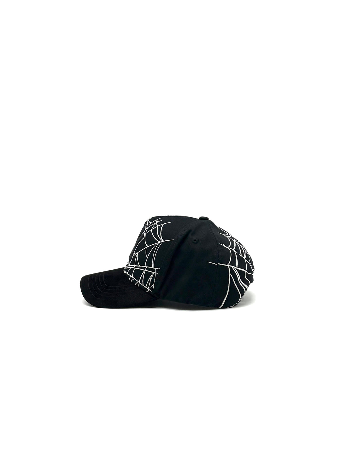 GALLO FINO  "NY SPIDER"