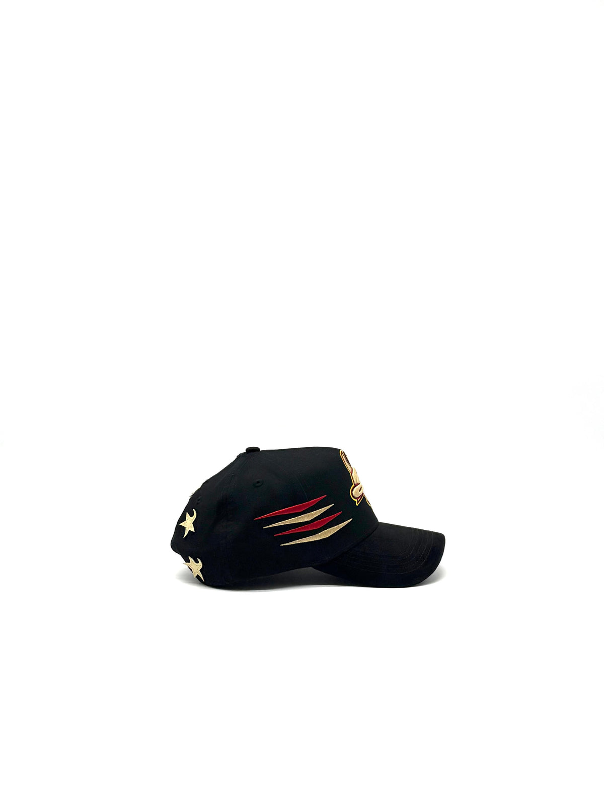 31 HATS "All STARS"