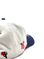 JC HATS  "CT GRAY NAVY"
